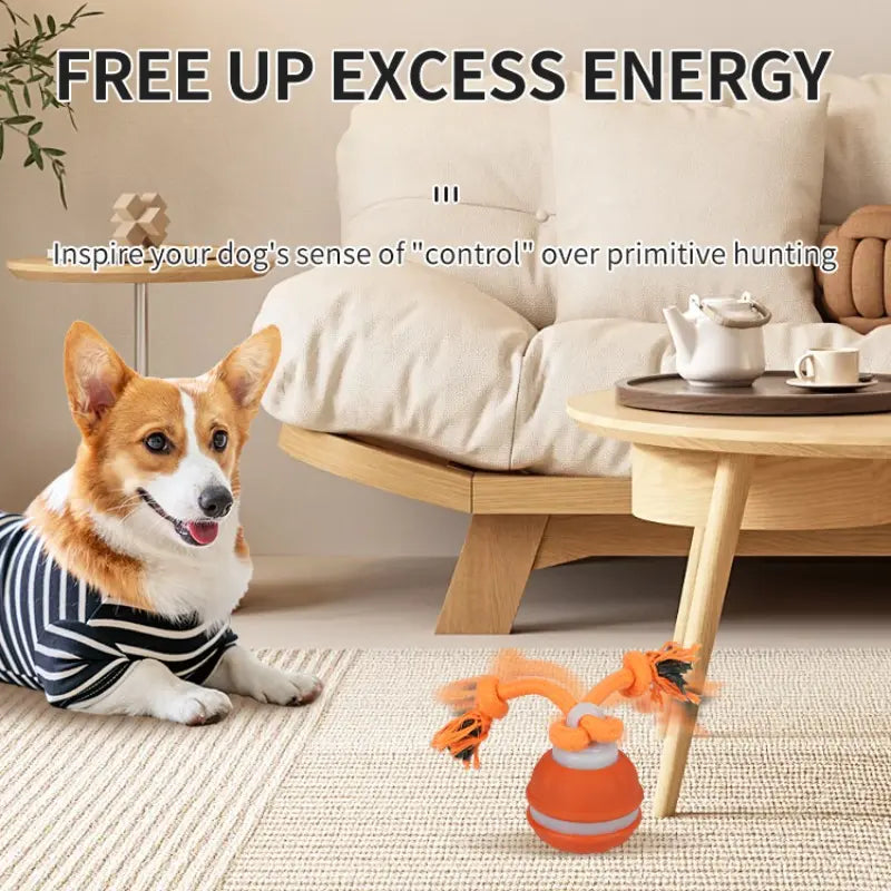 Professional Indoor Dog Training Rolling Ball Toy, Electric Pet Stimulation Device with Durable Bite-Resistant Design for Boredom Relief