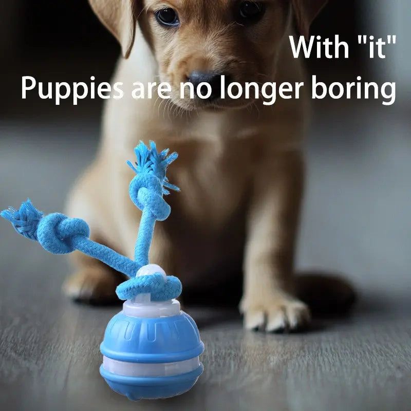 Professional Indoor Dog Training Rolling Ball Toy, Electric Pet Stimulation Device with Durable Bite-Resistant Design for Boredom Relief