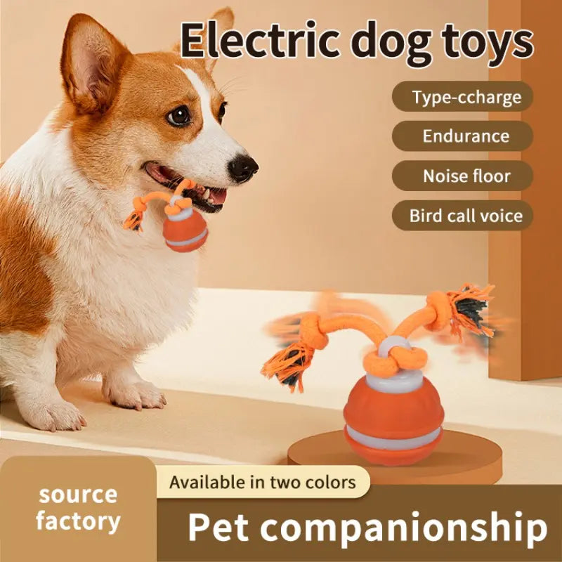 Professional Indoor Dog Training Rolling Ball Toy, Electric Pet Stimulation Device with Durable Bite-Resistant Design for Boredom Relief