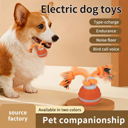Professional Indoor Dog Training Rolling Ball Toy, Electric Pet Stimulation Device with Durable Bite-Resistant Design for Boredom Relief