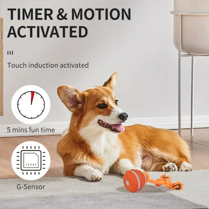 Professional Indoor Dog Training Rolling Ball Toy, Electric Pet Stimulation Device with Durable Bite-Resistant Design for Boredom Relief