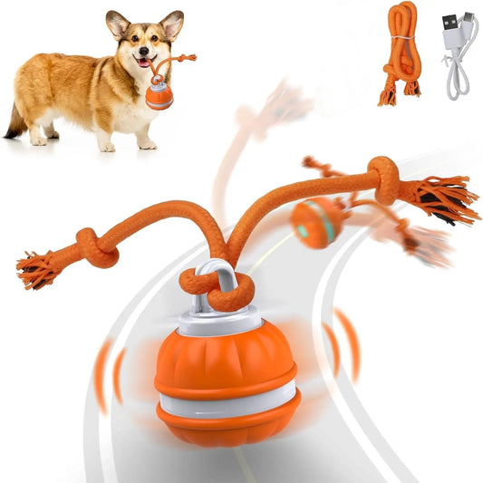 Professional Indoor Dog Training Rolling Ball Toy, Electric Pet Stimulation Device with Durable Bite-Resistant Design for Boredom Relief